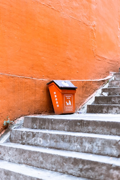 Benefits of Professional Trash Can Services