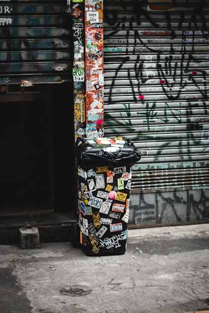 Why Choose Our Bin Cleaning Service?